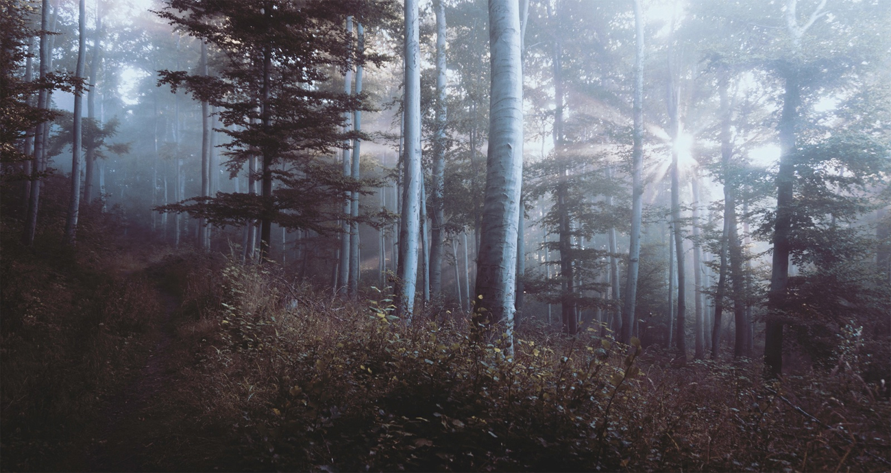 Eksempel på fullbredde-artikkel