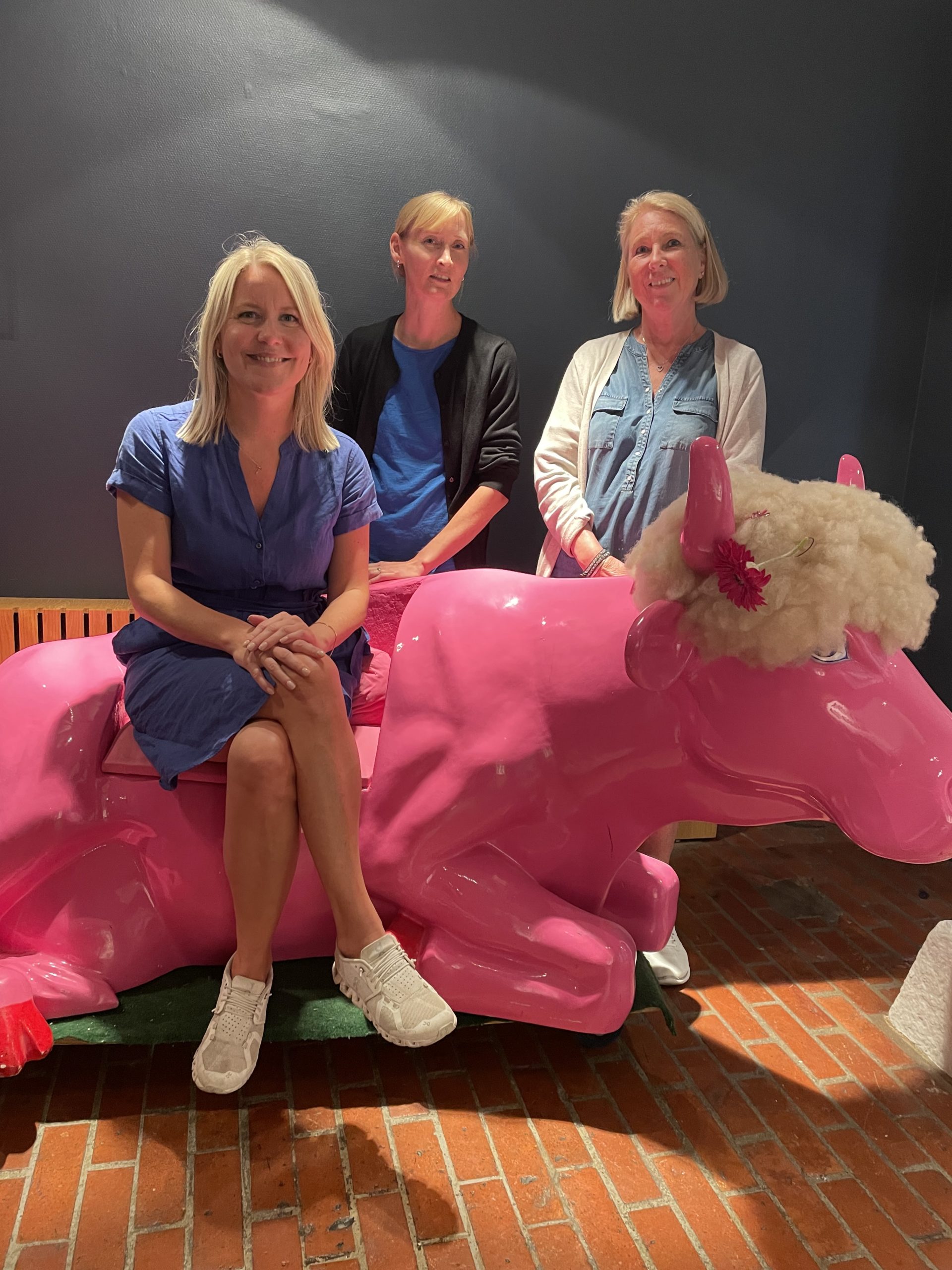 Samarbeid mellom melk.no og NML/Meieriposten