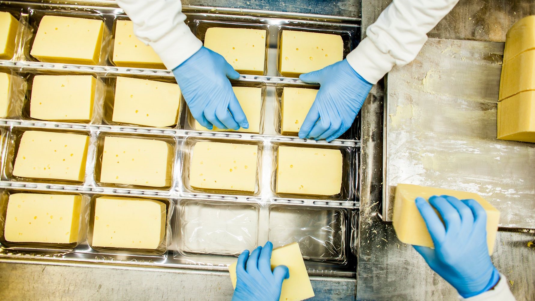 TINE investerer over 2 milliarder kroner i norsk hvitostproduksjon - endrer produksjonsstrukturen.