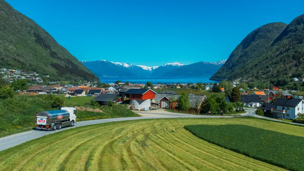 TINE leverer et godt resultat.