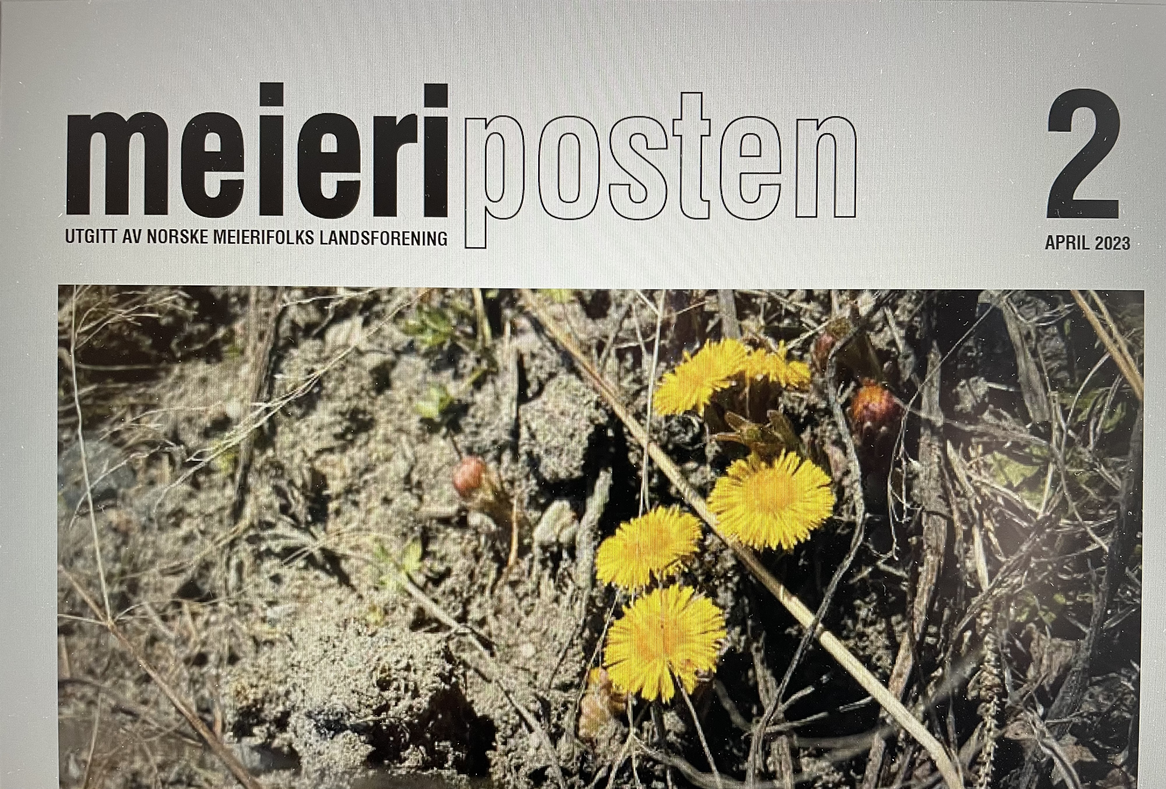 Meieriposten utgave 2, 2023